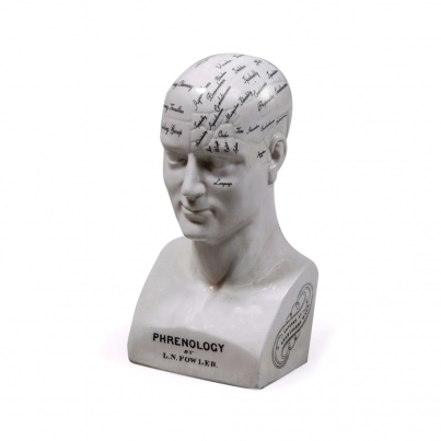 Large antiqued ceramic phrenology head