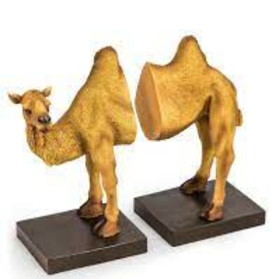 Camel bookend